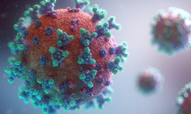 Több Covidos az Alba FKC-nál, nem lesz meccs