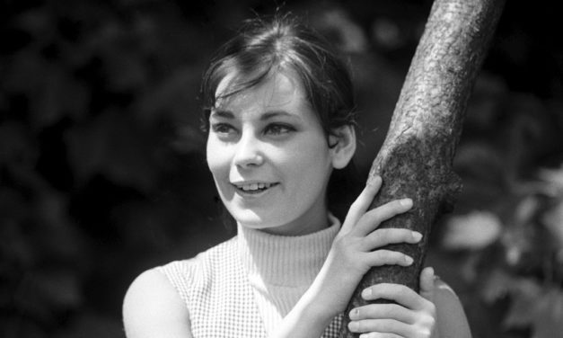 Vicuska elköszönt: elhunyt Venczel Vera