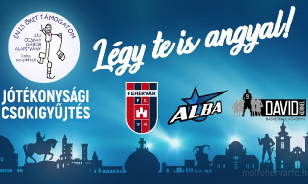 A Vidi is csatlakozott a csokigyűjtéshez