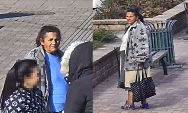 Ezt a tolvaj nőt keresik a fehérvári rendőrök