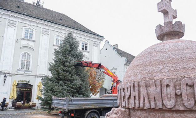 Áll már Fehérvár karácsonyfája