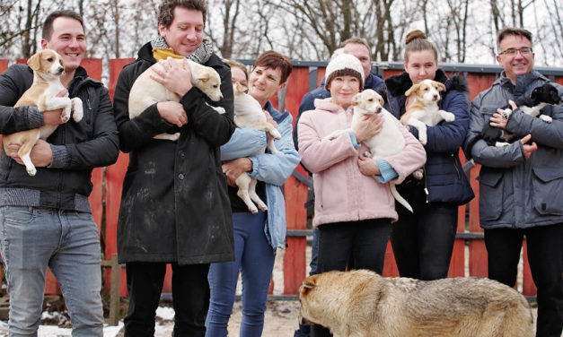 Napenergia a Mikulás „állati” puttonyában