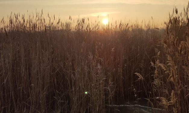 Befagyott a Velencei-tó