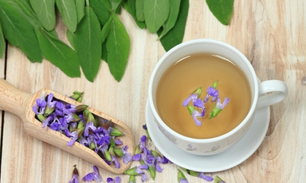 Milyen gyógynövényekkel kezelhetjük a torokfájást?