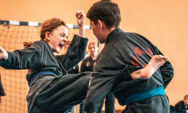 Országos versenyeken remekeltek megyénk kempósai