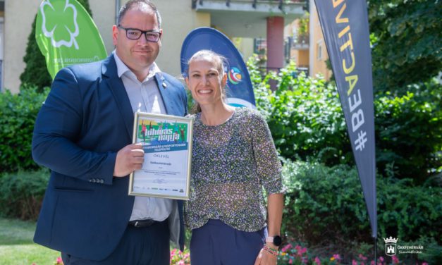 Kihívás Napja: Fehérvár és a Németh László suli is díjazott
