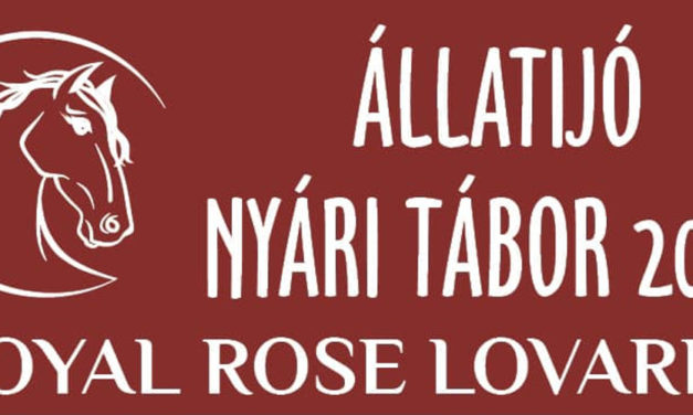 Lovastábor Pátkán – hétfőn indul a záró turnus