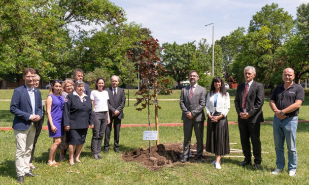 Elültették a Véradók fáját a Halesz ligetben