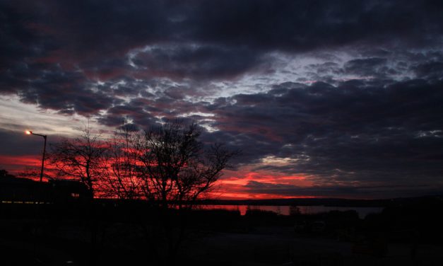 Úgy kellett a csapadék a Velencei-tónak, mint még soha