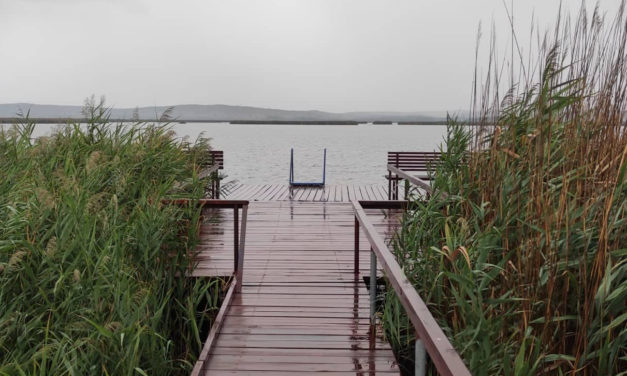 Miért áll negatív fókuszban a Velencei-tó?