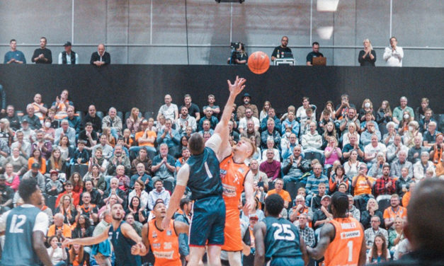 Alba: győzelem Ulmban, kezd összeérni a csapat