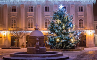 Milyen lesz Fehérvár karácsonyfája? – ebben az évben is várja a felajánlásokat a Városgondnokság