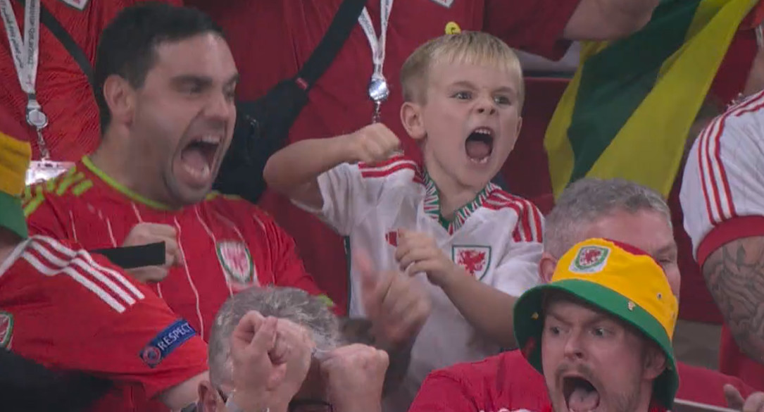 FIFA_vb_22_Wales_fan_jo