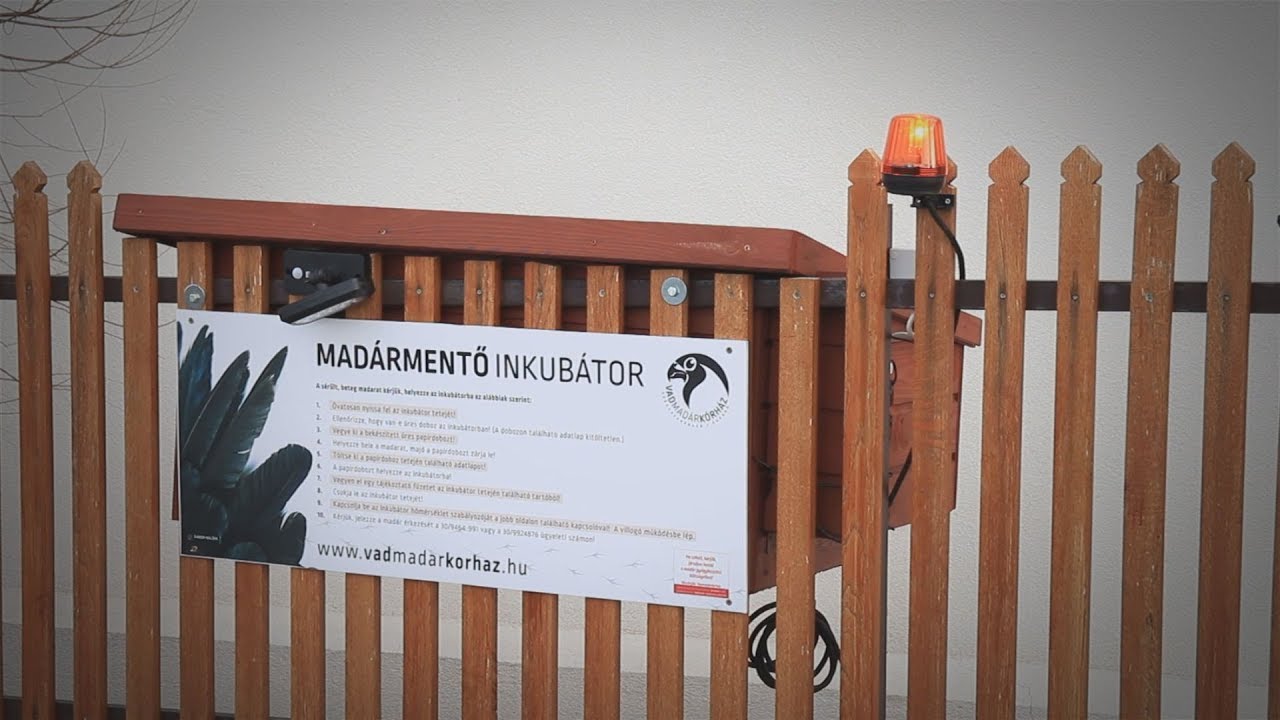Madarmento_inkubator_jo