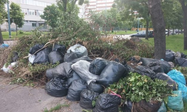 Elszállítja a zöldhulladékot a Depónia november 12-én szombaton