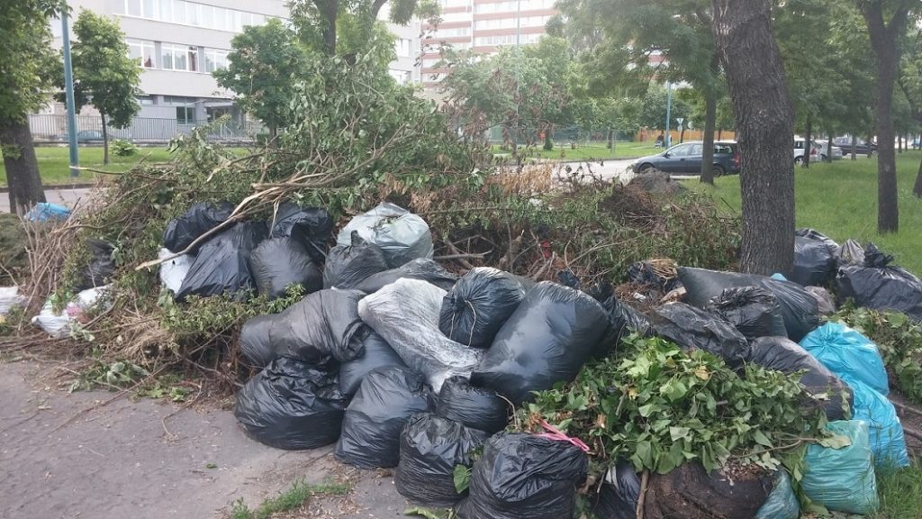 Zoldhulladek_szemet_jo