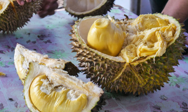 Durián: nagyon finom és rettenetesen büdös