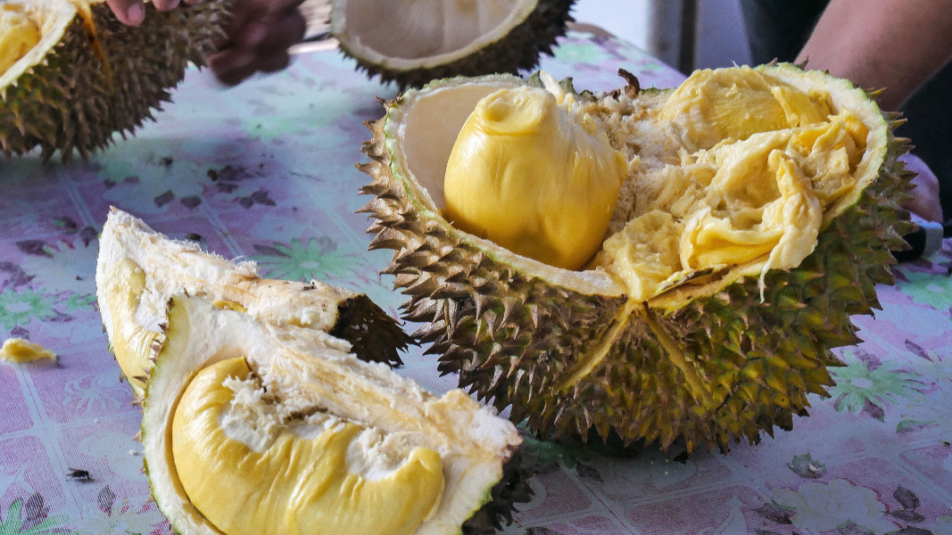 Durian_gyumolcs_jo