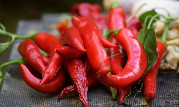 Fejfájás ellen – erős paprikával