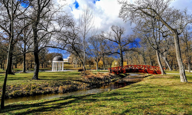 Ismét botanikai séta a Károlyi Kastély parkjában
