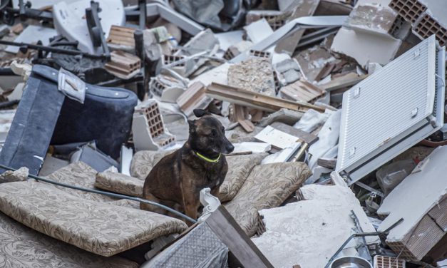 Újabb súlyos földrengés sokkolta Törökországot ma este