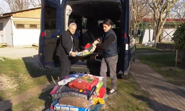 Egy raklapnyi segítség érkezett a HEROSZ Állatotthonba