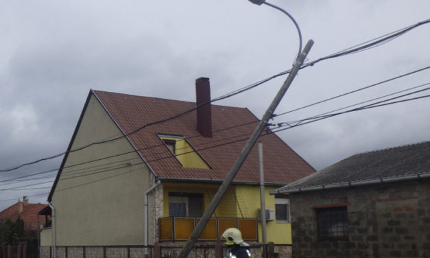Csaknem hatvan beavatkozás Fejérben a viharos szél miatt
