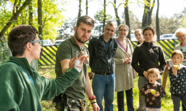 Egyéves a Sóstó Vadvédelmi Központ