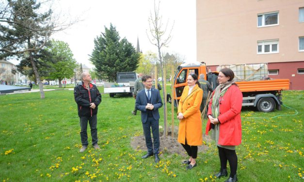 Ismét fát ültettek a tavalyi évben született gyermekek tiszteletére