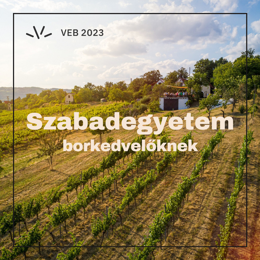 xr:d:DAFewAs394Q:26,j:2510885213,t:23041111