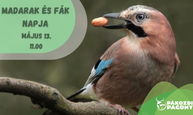 A madarak és fák napját ünneplik szerdán a Pákozdi Pagonyban