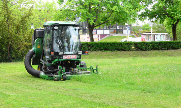 Itt dolgoznak a napokban a Városgondnokság parkfenntartói