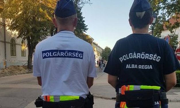 Tavaly is sokat tettek a közbiztonságért a fehérvári polgárőrök