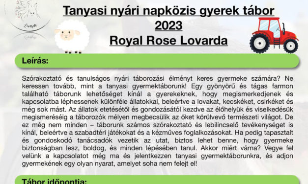 „Állatijó” és tanyasi lovastáborok Pátkán