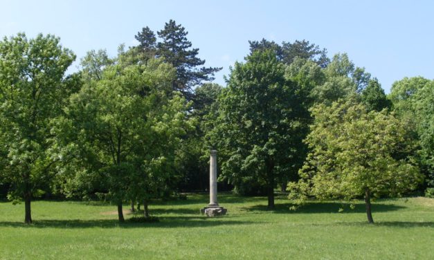 Vasárnap folytatódnak a botanikai séták a Károlyi Kastélyparkban