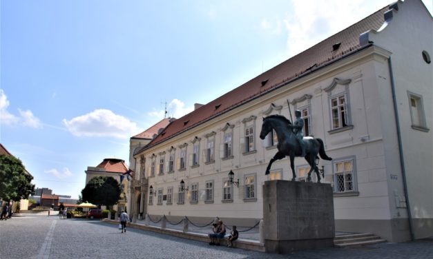 Székesfehérvári segítség Nagyborzsovának