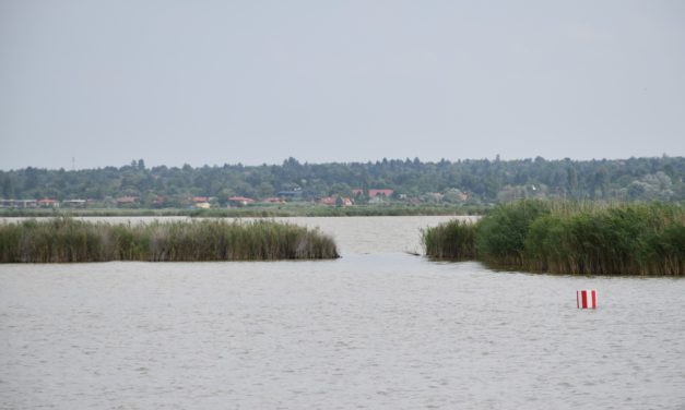 Velencei-tó: sokat javult a helyzet, de még nem idilli