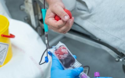 Retro véradás lesz pénteken a Szent István suliban Fehérváron