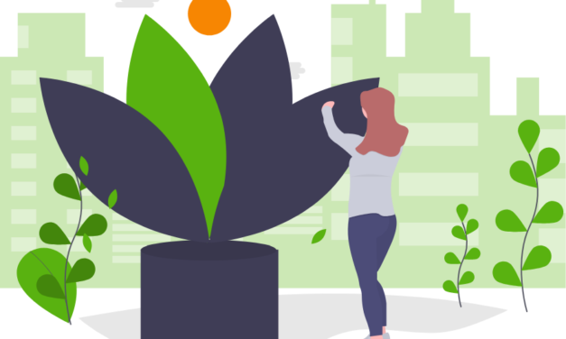 Virágos Székesfehérvár 2023 – Mától lehet regisztrálni!