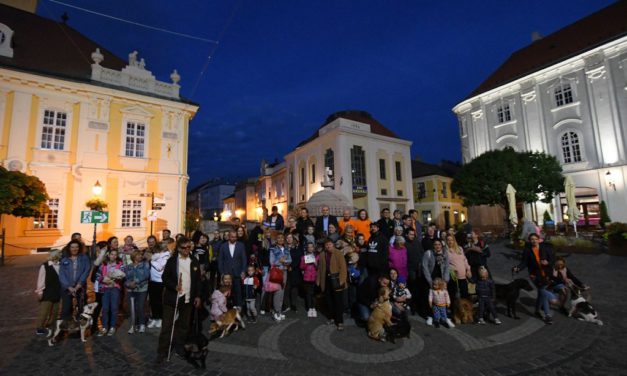 Állatok világnapja tájékoztatóval, kutyás felvonulással