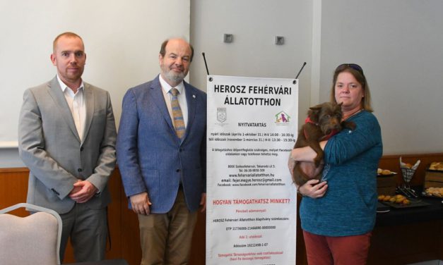Felvonulással, közösségi programmal ünneplik az állatok világnapját