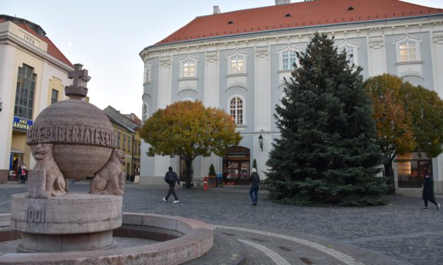 A város karácsonyfája – ismét várják a felajánlásokat