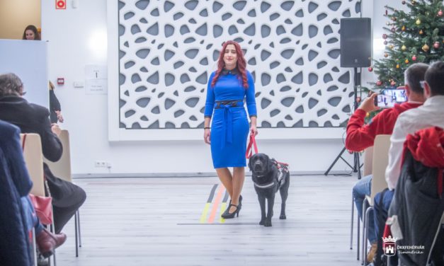 Bennünk is ugyanaz a szív dobog 2.0