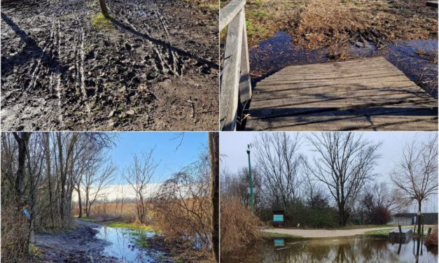 Magasan van a talajvíz – csak gumicsizmában látogatható a Sóstó Tanösvény
