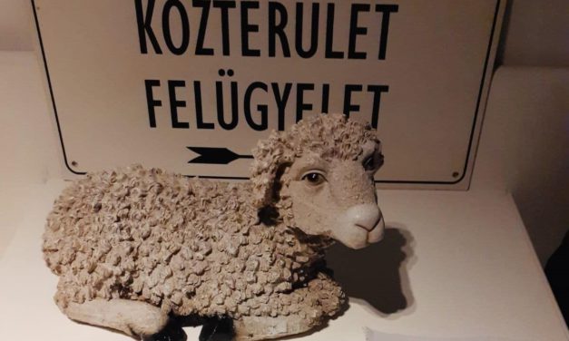 Visszavitték az elemelt báránykát az elkövetők