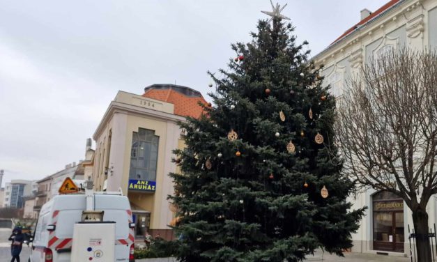 Rászorulók kályháját melegíti a város karácsonyfája