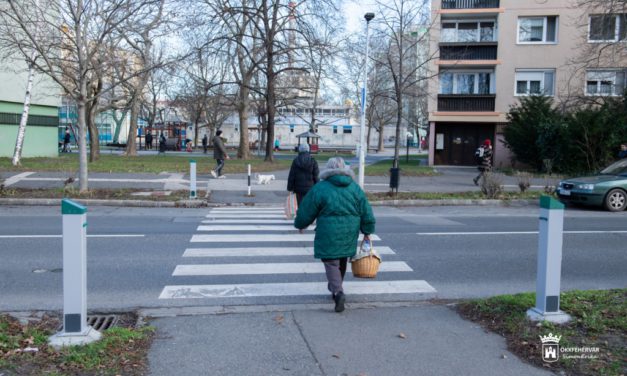 Újabb tíz okoszebra Fehérváron!