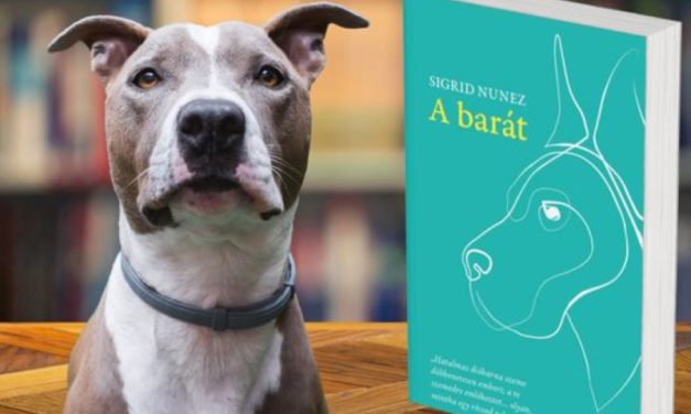 A VMK is csatlakozott az Állatbarát Könyvtár Programhoz