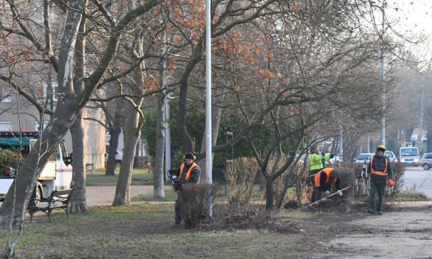 Városszerte elkezdték a tavasz eleji parkfenntartó munkát a kertészek