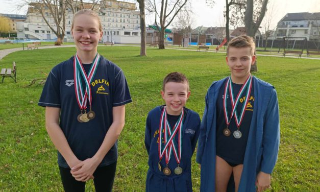 Delfines érmek, sikeres vizsgák Budapesten és Veszprémben